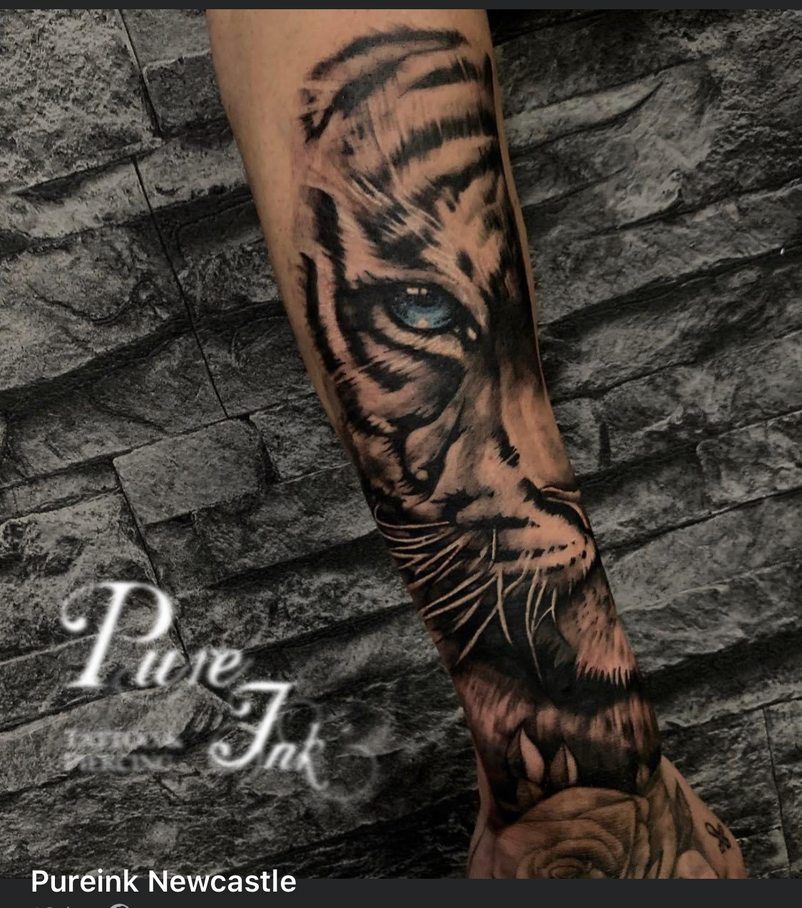 Pure Ink Tattoo